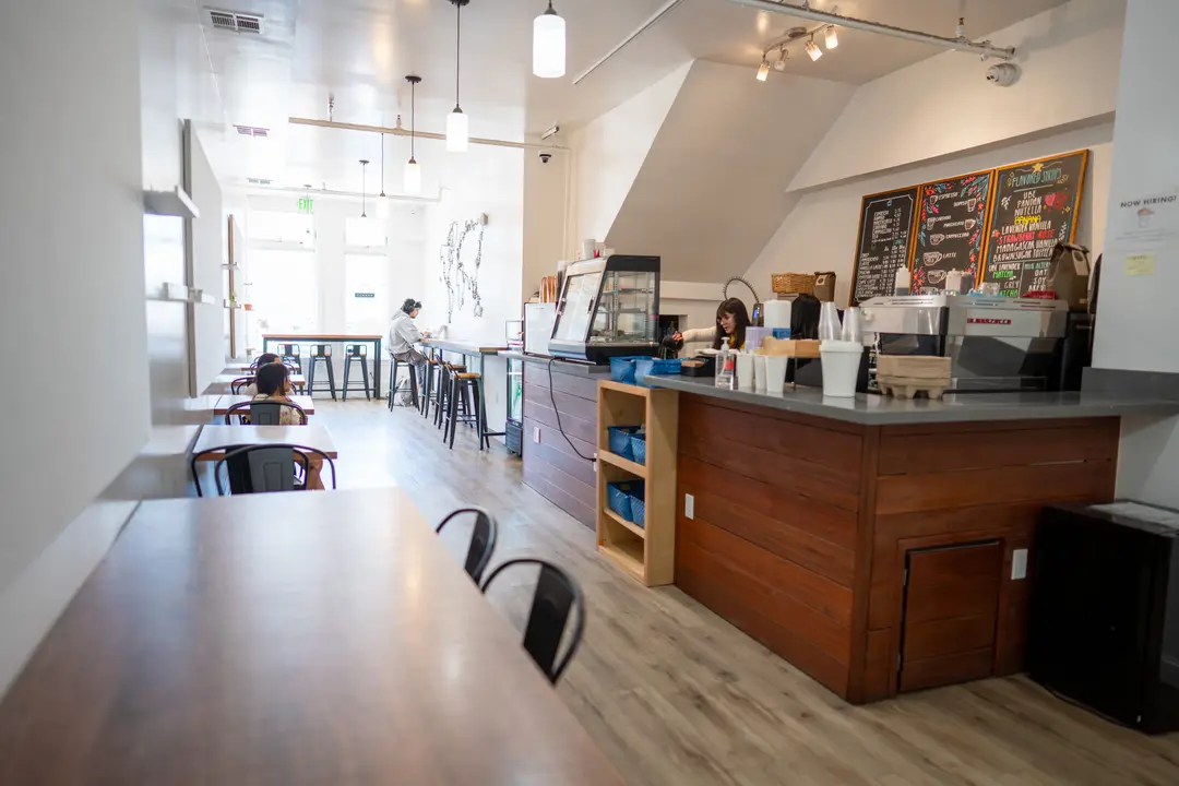 Inside Blue House Cafe — the espresso bar and counter seating, lit by morning light from the front windows.